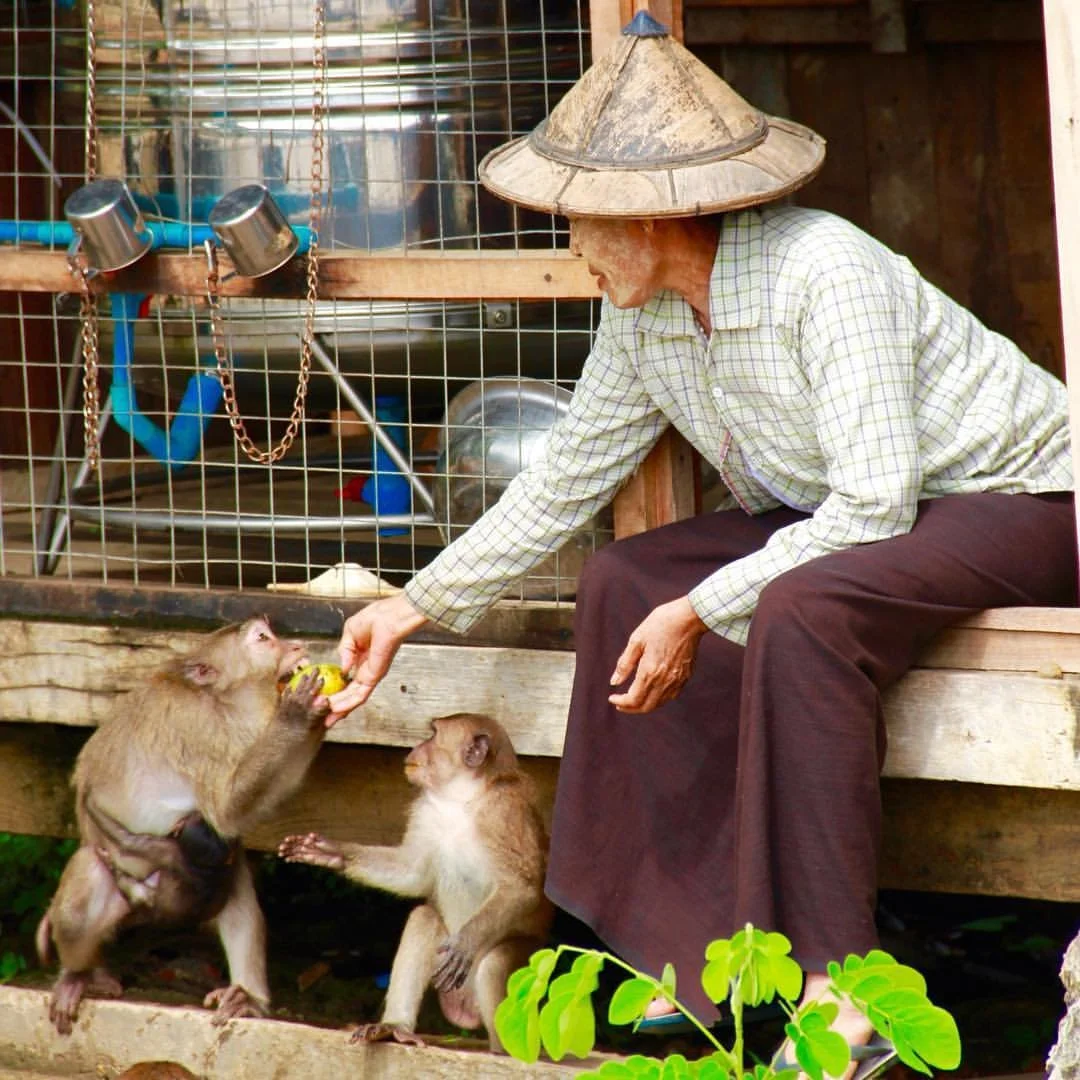 Lady in Burma.jpeg