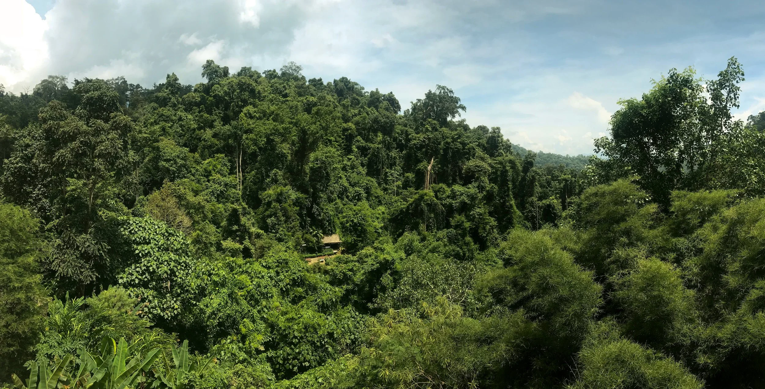 Nature in Chiang Dao Thailand