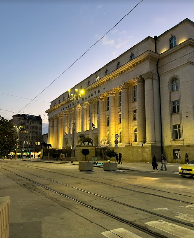 sofia1.png