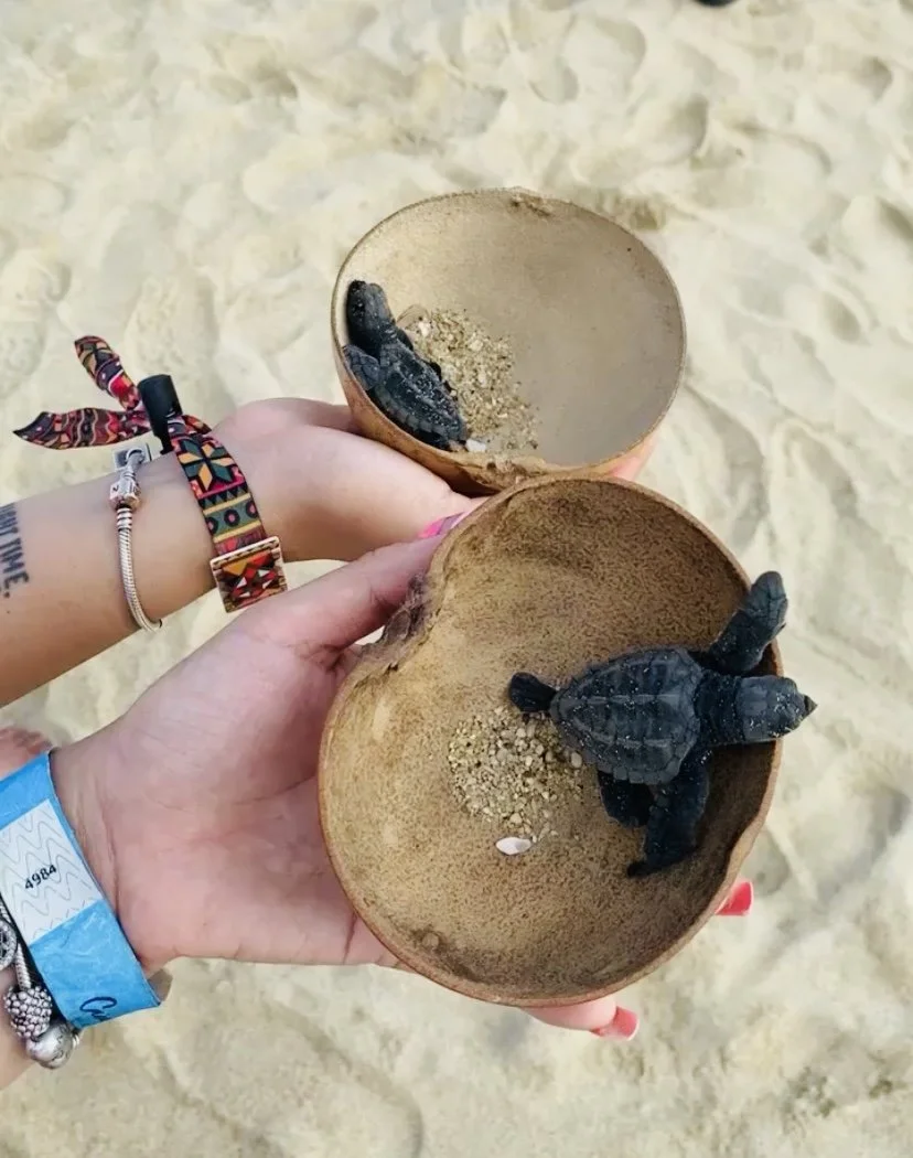 Paola liberando tortugas en Puerto Escondido Oaxaca con Greether